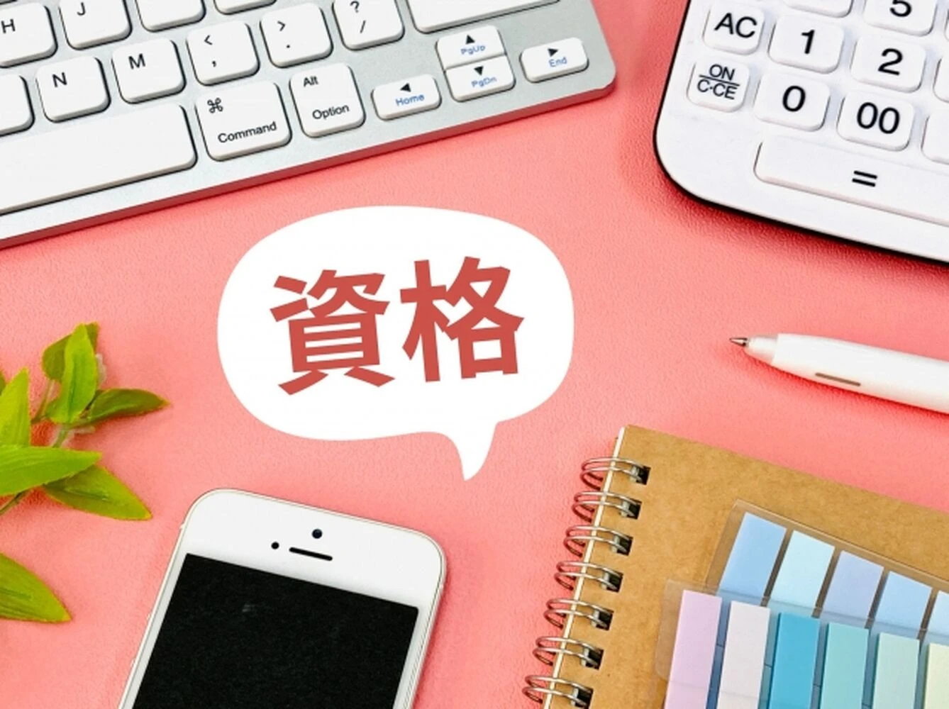 画像2732