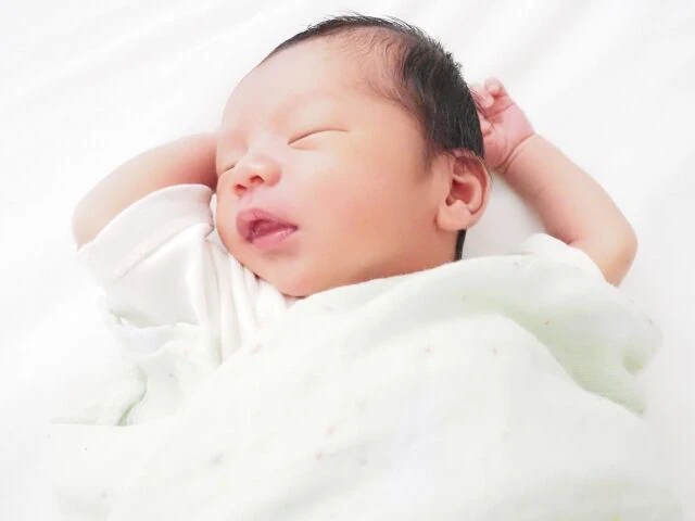 29217566_s.jp
