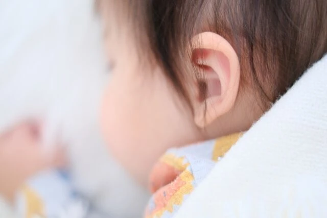 23858252_s.jp