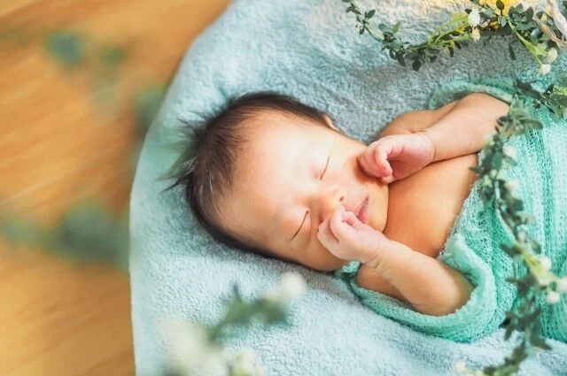 ブログ